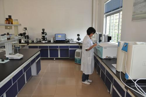 �ɹ�����